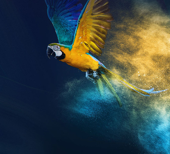 涂料廠(chǎng)家官網(wǎng)建設(shè)